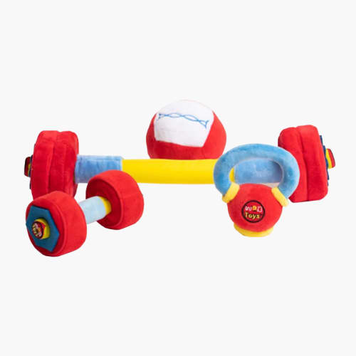 WOD Toys for Kids Toddlers Babies Rogue Fitness